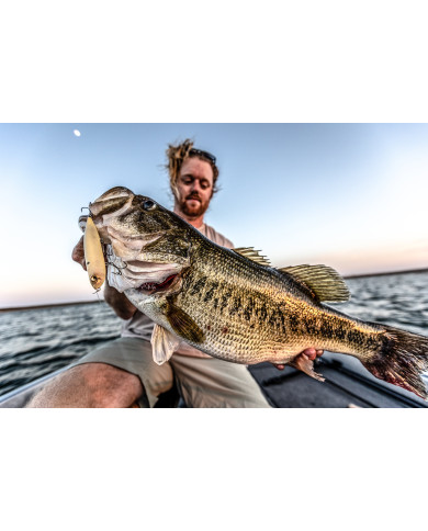 6th Sense Magnum Catwalk Topwater Bait for Bass Fishing | Buy Online at Bass, Carp & Camping
