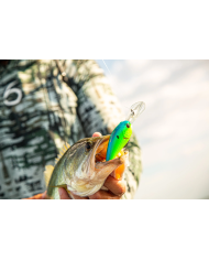 6th Sense Cloud 9 C10 Deep Diving Crankbait | Bass, Carp & Camping