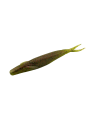 McArthy Baits McGlide Winged Tiddler | Bass, Carp & Camping