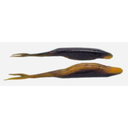 ZOOM Salty Super Fluke 5.25" Soft Jerkbait for Bass Fishing