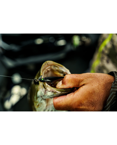 6th Sense Party Pro Spy Bait | Bass, Carp & Camping