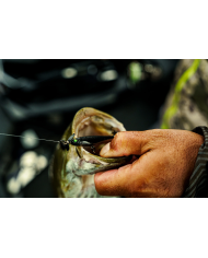 6th Sense Party Pro Spy Bait | Bass, Carp & Camping