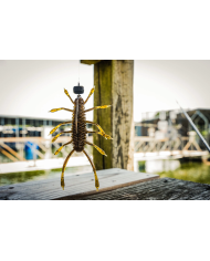 6th Sense Huzzbug Creature Bait | Bass, Carp & Camping
