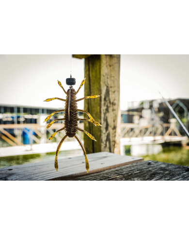 6th Sense Huzzbug Creature Bait | Bass, Carp & Camping