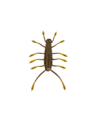 6th Sense Huzzbug Creature Bait | Bass, Carp & Camping
