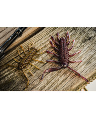 6th Sense Huzzbug Creature Bait | Bass, Carp & Camping