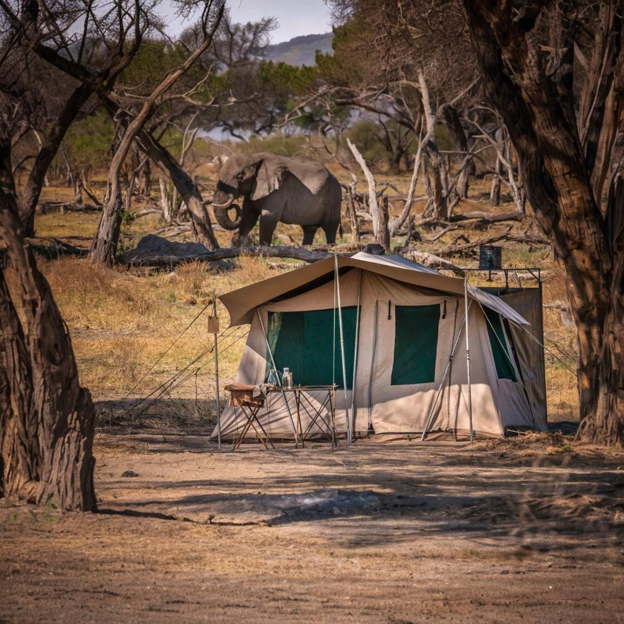 Camping