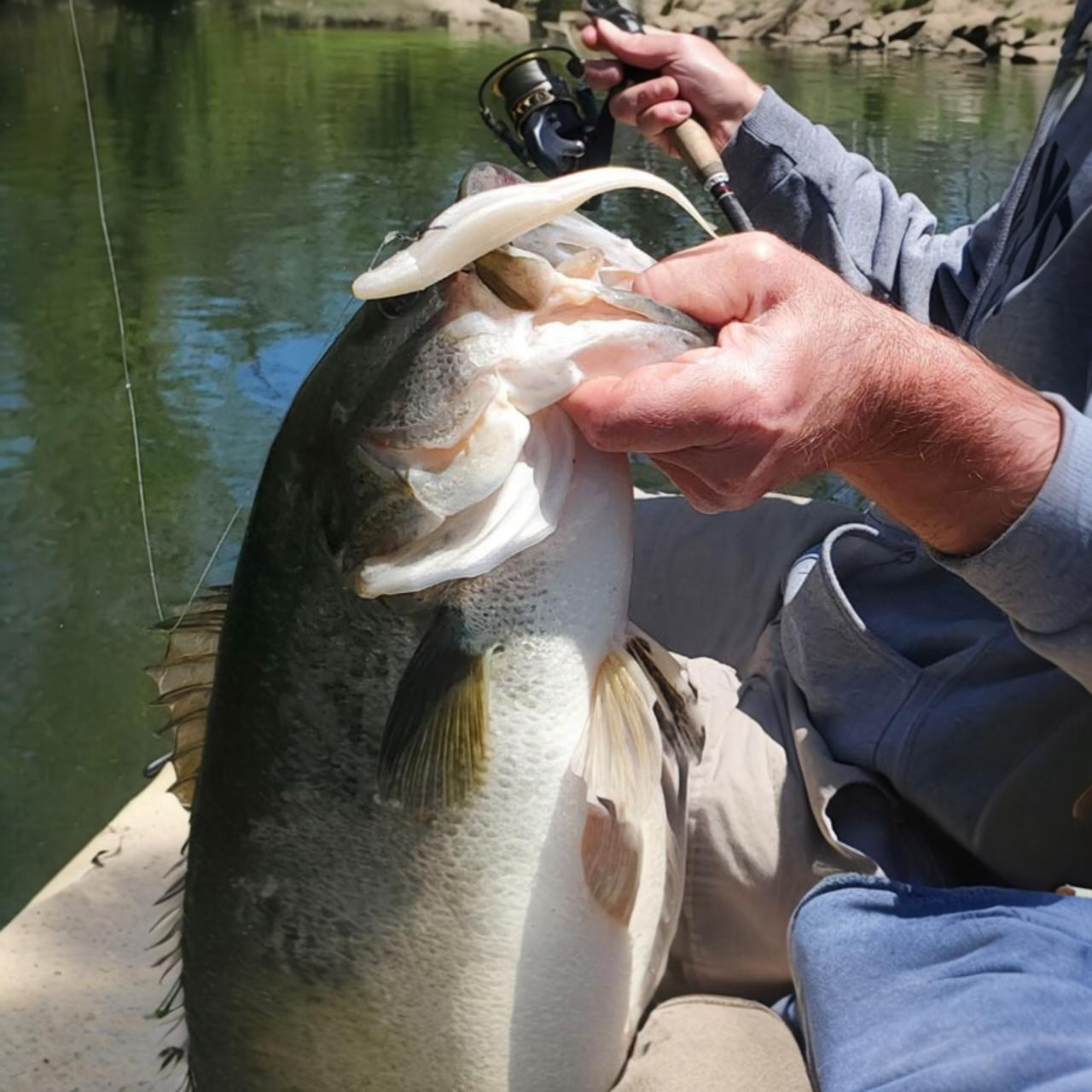 Minnow Style Bait