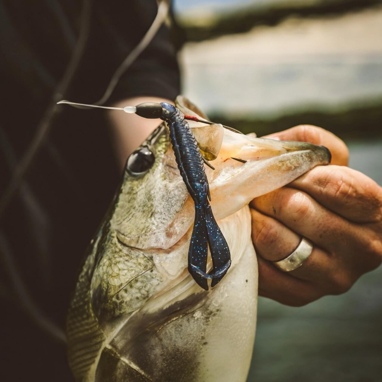 Craw Style Bait