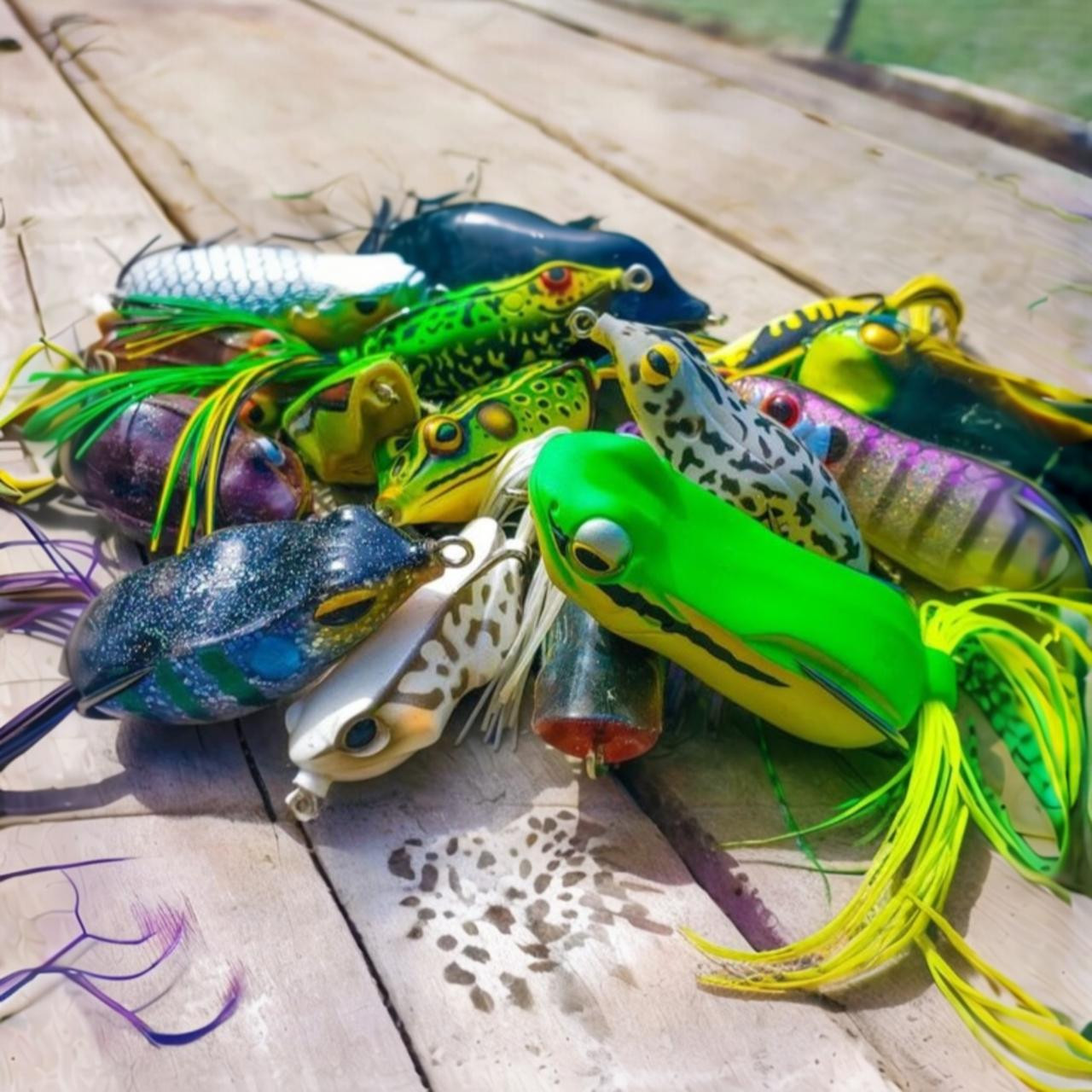Top Water Baits