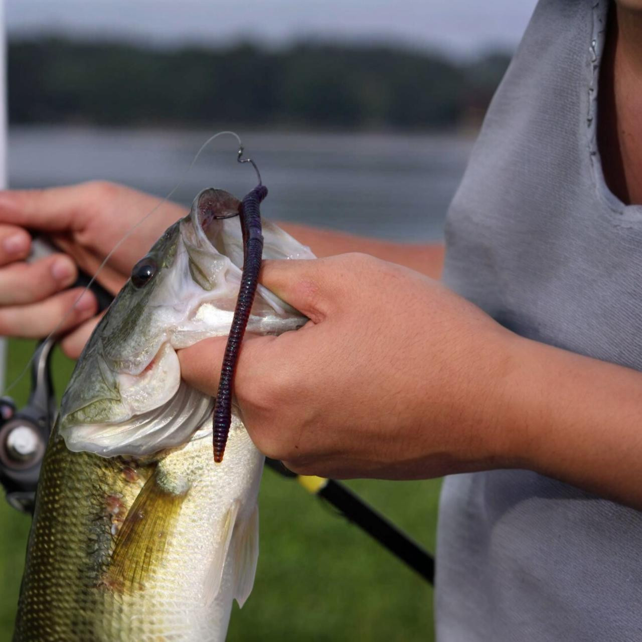 Worm Style Baits