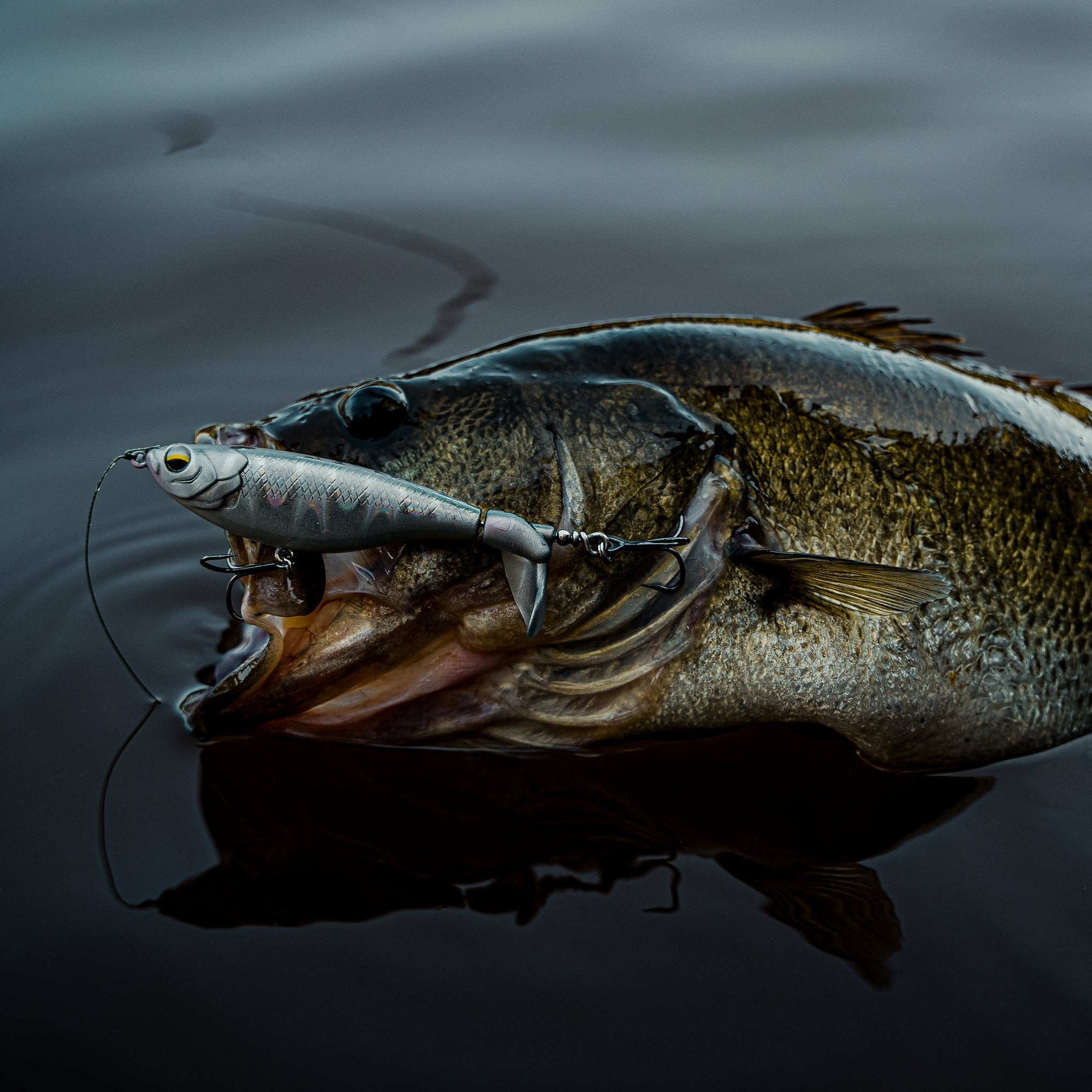 Topwater Bait