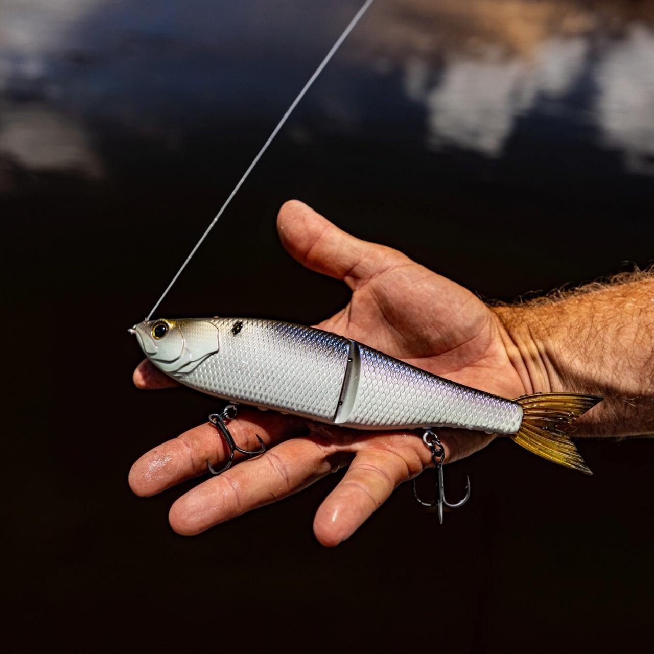 Glide Bait