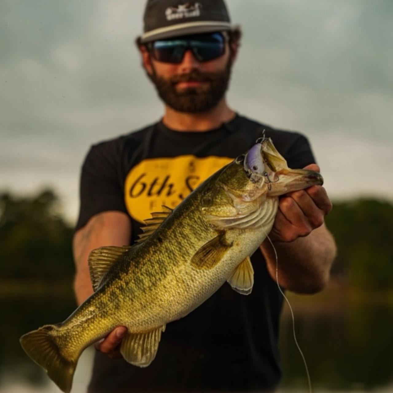 Shallow Cranks