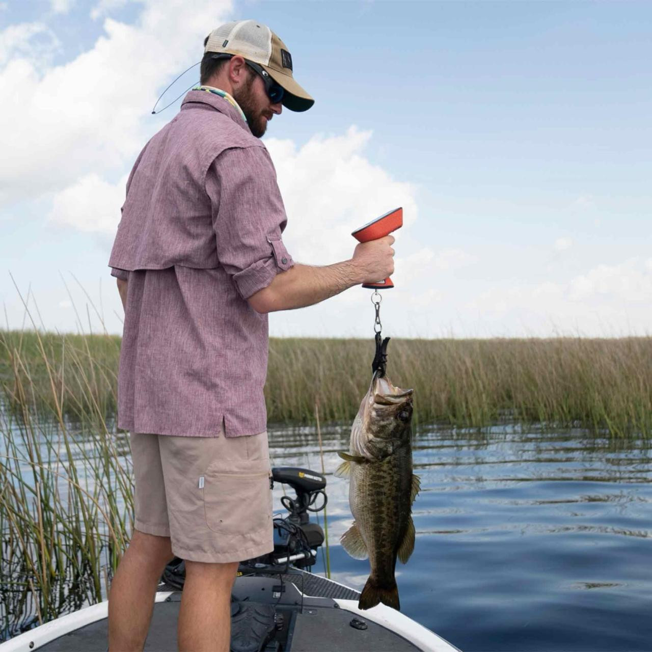 Fishing weigh scales